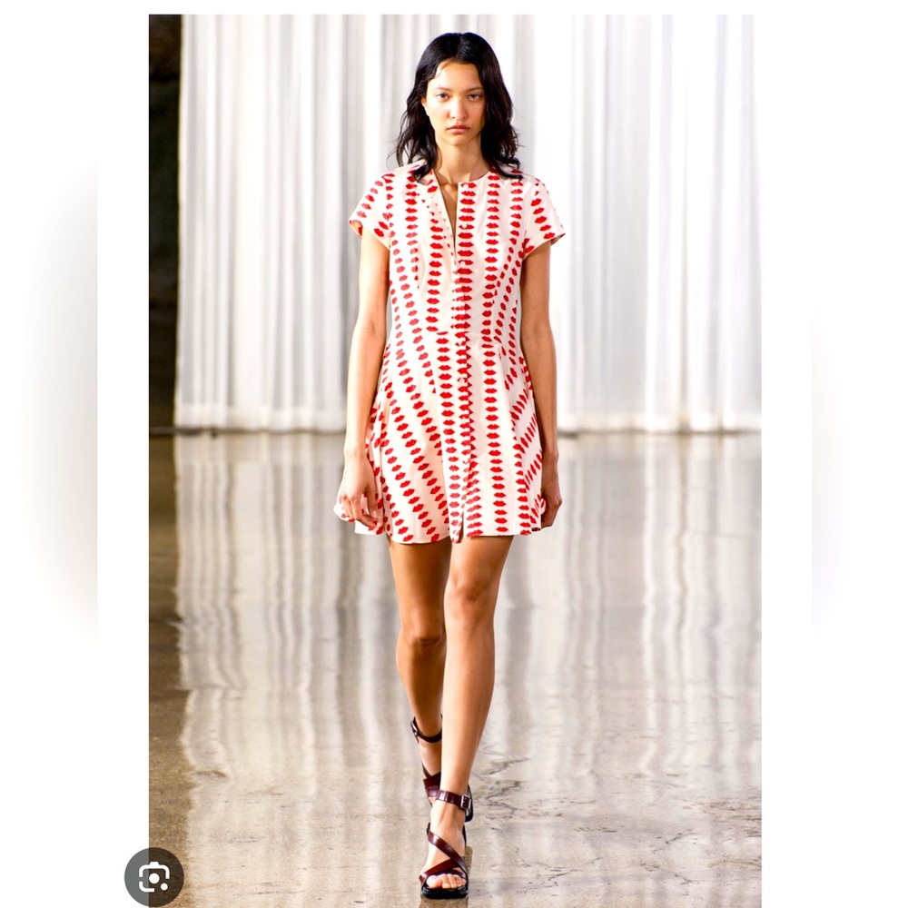 NWT Zara Dress